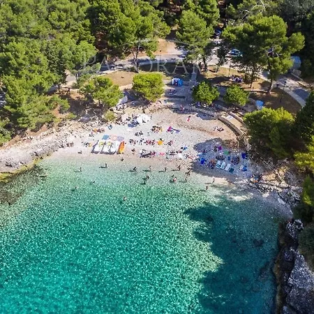 Oliva - Free Parking Pula