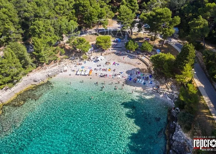 Oliva - Free Parking Πούλα